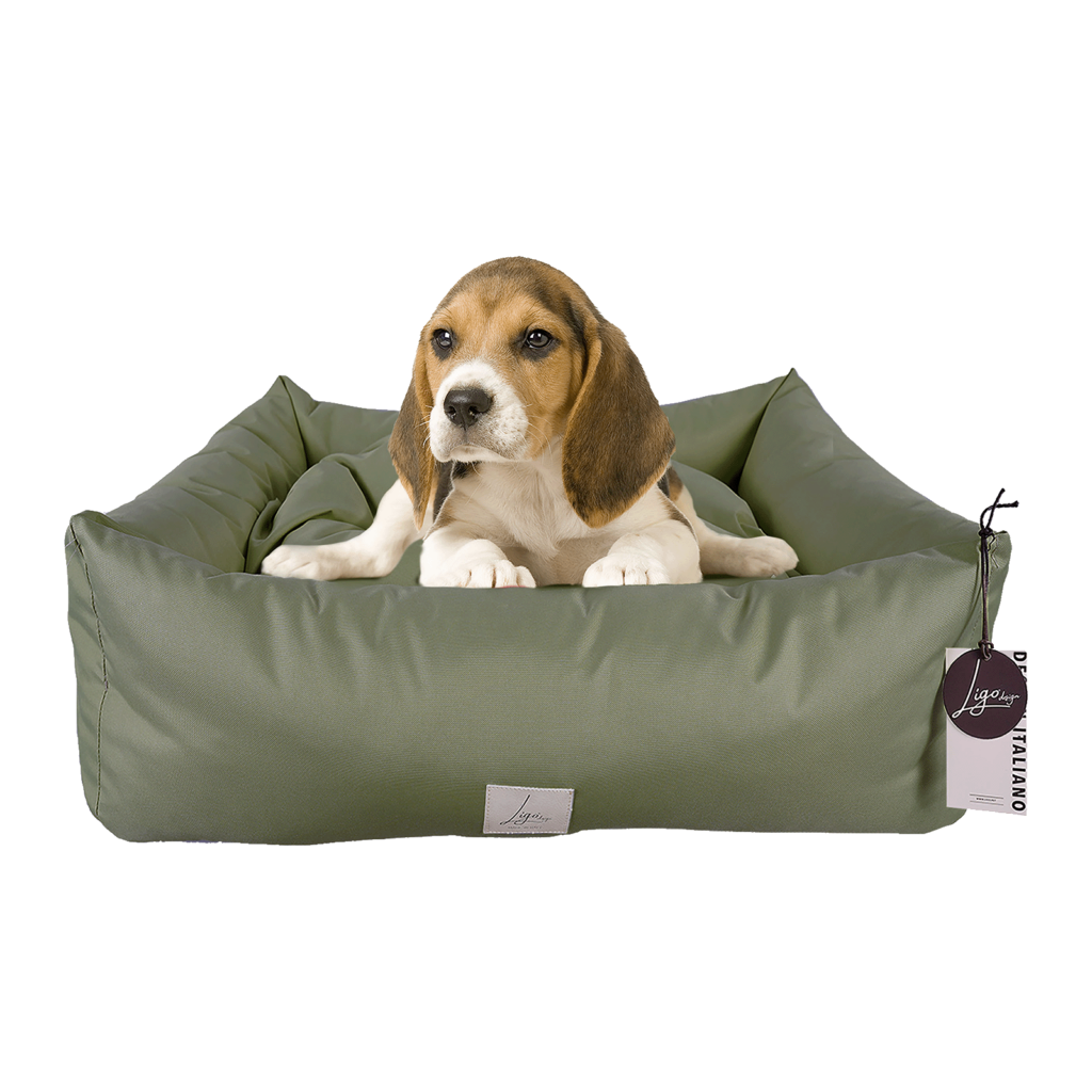 cuccia cane esterno - Beagle seduto in una cuccia Buddy verde oliva XS